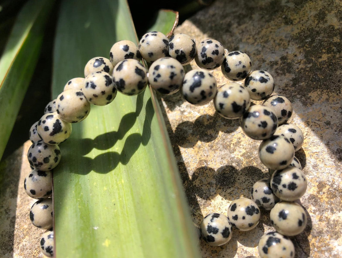 Boutique lithothérapie - Bracelet boule 08mm en Jaspe Dalmatien - SOEURS