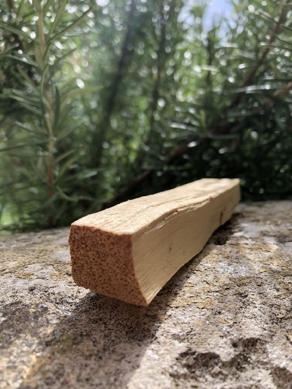 Boutique ésotérique - Bâton de Palo Santo Pour Purification - SOEURS