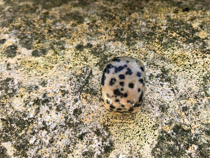 Boutique ésotérique - Pierre Roulée Cubique Jaspe Dalmatien - SOEURS