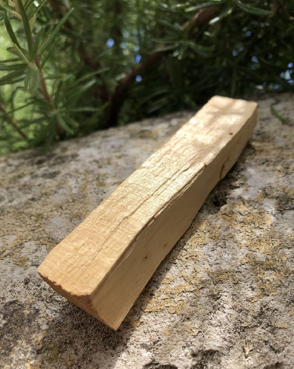 Boutique ésotérique - Bâton de Palo Santo de Purification - SOEURS