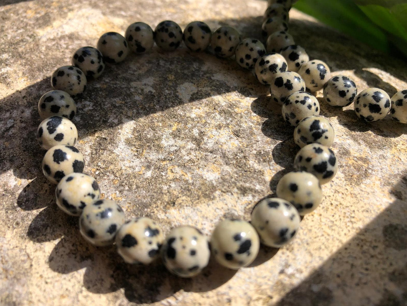 Boutique lithothérapie - Bracelet boule 08mm en Jaspe Dalmatien - SOEURS