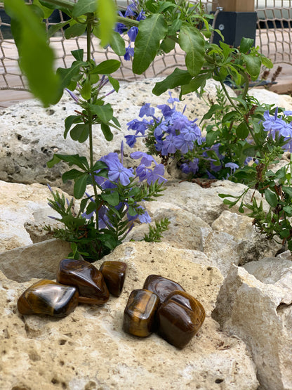 Tiger Eye Tumbled Stone