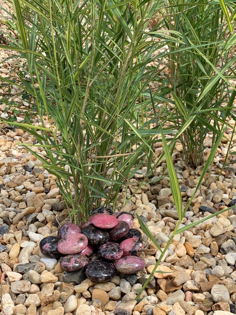 Galet Rhodonite